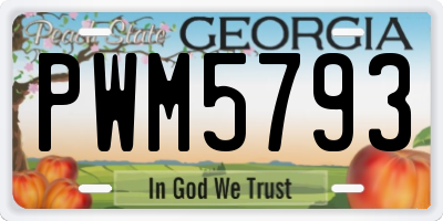 GA license plate PWM5793