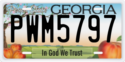 GA license plate PWM5797