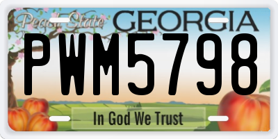 GA license plate PWM5798