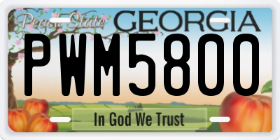 GA license plate PWM5800
