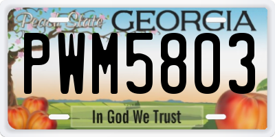 GA license plate PWM5803