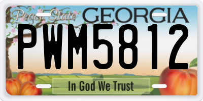 GA license plate PWM5812