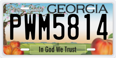 GA license plate PWM5814