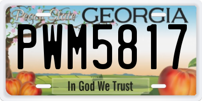 GA license plate PWM5817