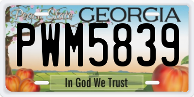 GA license plate PWM5839