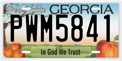 GA license plate PWM5841