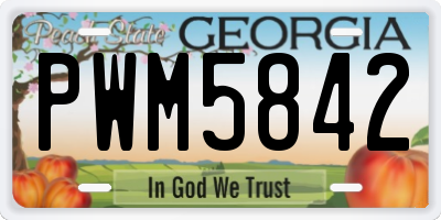 GA license plate PWM5842