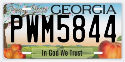 GA license plate PWM5844