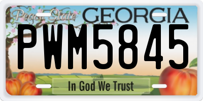 GA license plate PWM5845