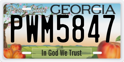 GA license plate PWM5847