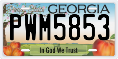 GA license plate PWM5853
