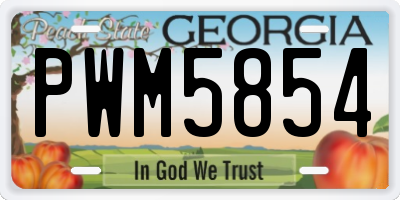 GA license plate PWM5854