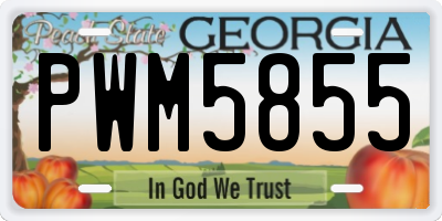 GA license plate PWM5855
