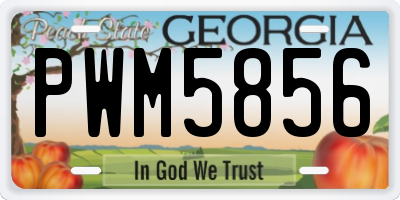 GA license plate PWM5856