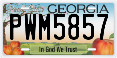 GA license plate PWM5857