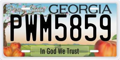 GA license plate PWM5859