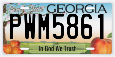GA license plate PWM5861