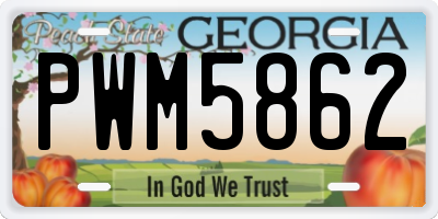 GA license plate PWM5862