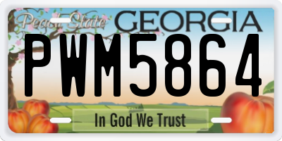 GA license plate PWM5864