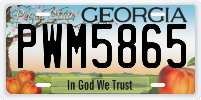 GA license plate PWM5865