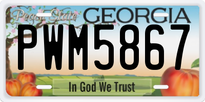 GA license plate PWM5867