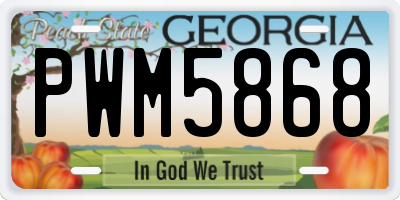 GA license plate PWM5868
