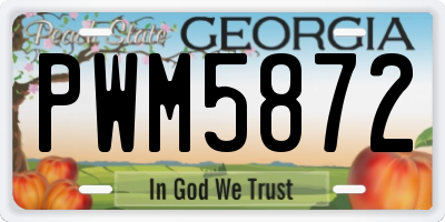 GA license plate PWM5872