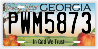 GA license plate PWM5873