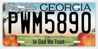 GA license plate PWM5890