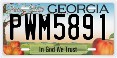 GA license plate PWM5891