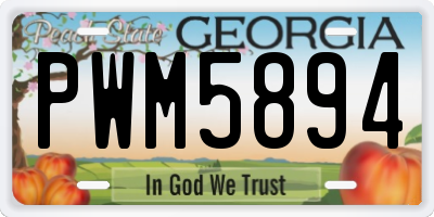 GA license plate PWM5894