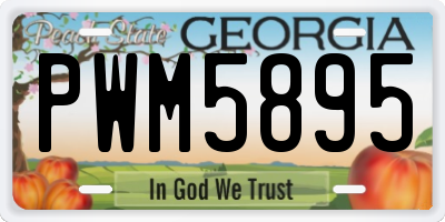 GA license plate PWM5895