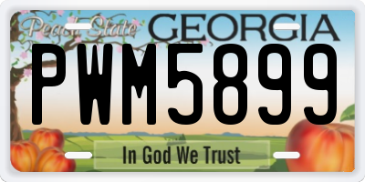 GA license plate PWM5899