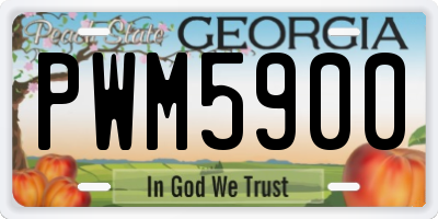 GA license plate PWM5900
