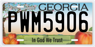 GA license plate PWM5906