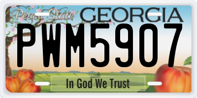 GA license plate PWM5907