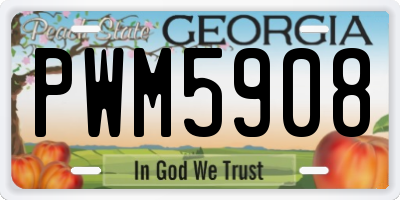 GA license plate PWM5908