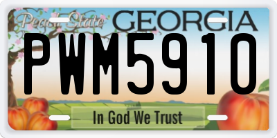GA license plate PWM5910