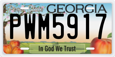 GA license plate PWM5917