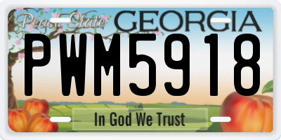 GA license plate PWM5918