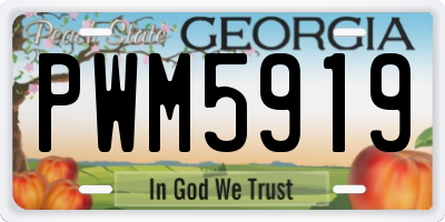 GA license plate PWM5919