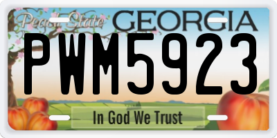 GA license plate PWM5923