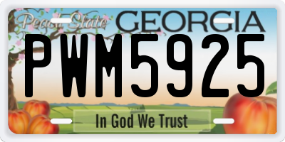 GA license plate PWM5925