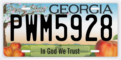 GA license plate PWM5928