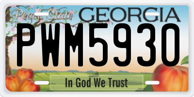 GA license plate PWM5930