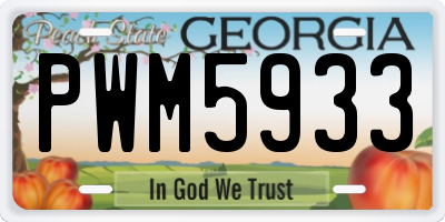GA license plate PWM5933