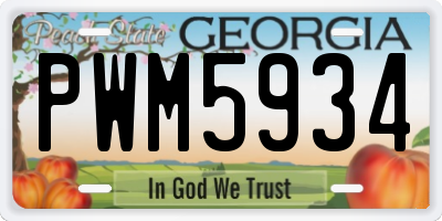 GA license plate PWM5934