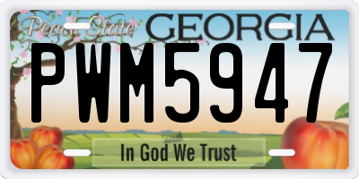 GA license plate PWM5947