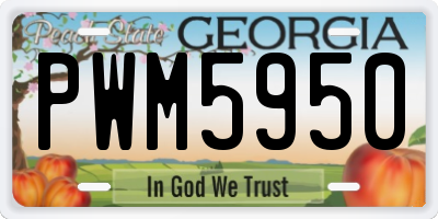 GA license plate PWM5950
