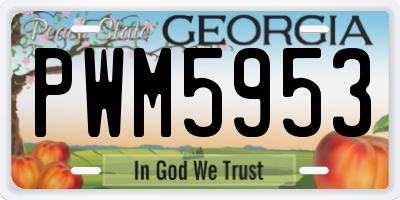 GA license plate PWM5953